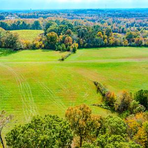 Photo #28 of Off Chevy Drive, Taylorsville, NC 11.9 acres