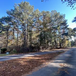 Photo #15 of 85 Meadow Spring Ln, Sandford, NC 0.4 acres