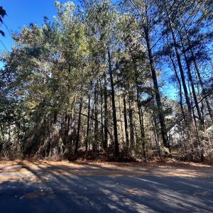 Photo #16 of 85 Meadow Spring Ln, Sandford, NC 0.4 acres