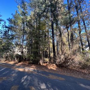 Photo #17 of 85 Meadow Spring Ln, Sandford, NC 0.4 acres
