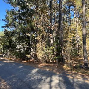 Photo #18 of 85 Meadow Spring Ln, Sandford, NC 0.4 acres