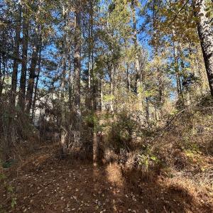 Photo #19 of 85 Meadow Spring Ln, Sandford, NC 0.4 acres