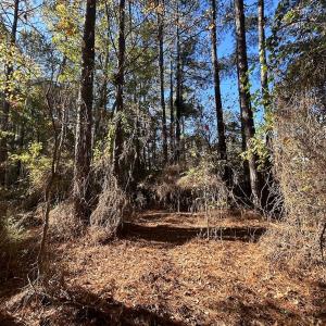 Photo #20 of 85 Meadow Spring Ln, Sandford, NC 0.4 acres
