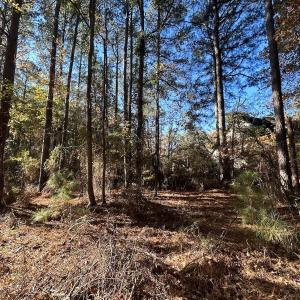 Photo #21 of 85 Meadow Spring Ln, Sandford, NC 0.4 acres