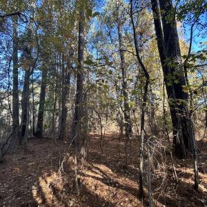 Photo #22 of 85 Meadow Spring Ln, Sandford, NC 0.4 acres