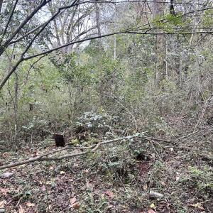 Photo #20 of SOLD property in 2574 Laurinburg Rd, Raeford, NC 2.5 acres