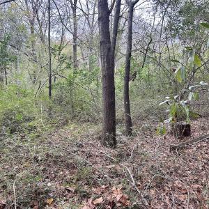Photo #21 of SOLD property in 2574 Laurinburg Rd, Raeford, NC 2.5 acres