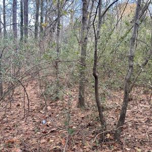 Photo #23 of SOLD property in 2574 Laurinburg Rd, Raeford, NC 2.5 acres