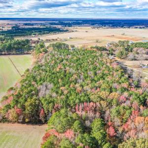 Photo #6 of SOLD property in Off Crooked Run Rd., Elizabeth City, NC 14.7 acres