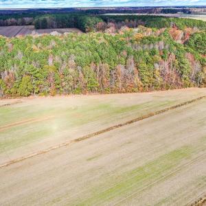 Photo #7 of SOLD property in Off Crooked Run Rd., Elizabeth City, NC 14.7 acres