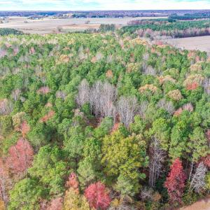 Photo #4 of SOLD property in Off Crooked Run Rd., Elizabeth City, NC 14.7 acres