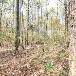 Photo #11 of SOLD property in Off Crooked Run Rd., Elizabeth City, NC 14.7 acres
