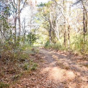 Photo #12 of SOLD property in Off Crooked Run Rd., Elizabeth City, NC 14.7 acres