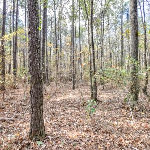Photo #8 of SOLD property in Off Crooked Run Rd., Elizabeth City, NC 14.7 acres