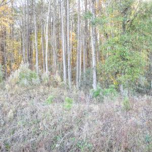 Photo #9 of SOLD property in Off Crooked Run Rd., Elizabeth City, NC 14.7 acres