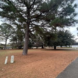 Photo #9 of SOLD property in Off Purple Martin Rd, Harrells, NC 0.3 acres