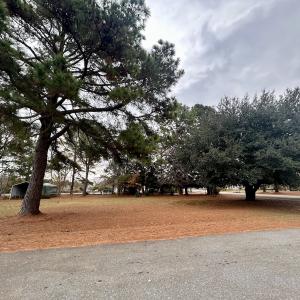 Photo #10 of SOLD property in Off Purple Martin Rd, Harrells, NC 0.3 acres