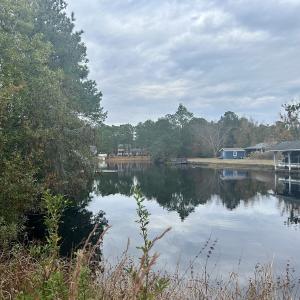 Photo #12 of SOLD property in Off Purple Martin Rd, Harrells, NC 0.3 acres