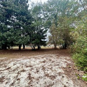 Photo #13 of SOLD property in Off Purple Martin Rd, Harrells, NC 0.3 acres