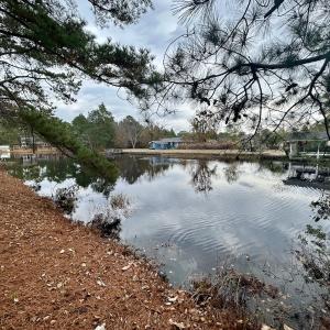 Photo #14 of SOLD property in Off Purple Martin Rd, Harrells, NC 0.3 acres