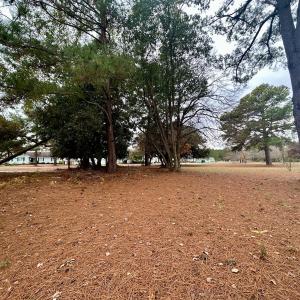 Photo #15 of SOLD property in Off Purple Martin Rd, Harrells, NC 0.3 acres