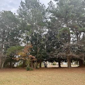 Photo #16 of SOLD property in Off Purple Martin Rd, Harrells, NC 0.3 acres