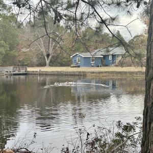 Photo #19 of SOLD property in Off Purple Martin Rd, Harrells, NC 0.3 acres