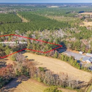 Photo #4 of Off 2870 Wilmington Hwy, Willard, NC 7.0 acres