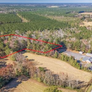 Photo #5 of Off 2870 Wilmington Hwy, Willard, NC 7.0 acres