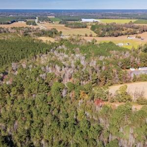 Photo #7 of Off 2870 Wilmington Hwy, Willard, NC 7.0 acres