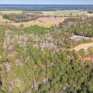 Photo #8 of Off 2870 Wilmington Hwy, Willard, NC 7.0 acres