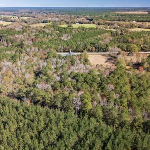 Photo #9 of Off 2870 Wilmington Hwy, Willard, NC 7.0 acres
