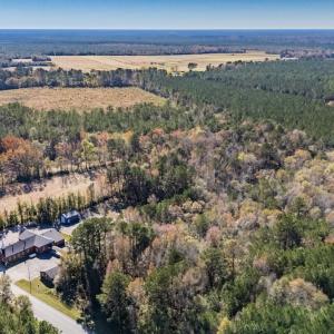 Photo #10 of Off 2870 Wilmington Hwy, Willard, NC 7.0 acres