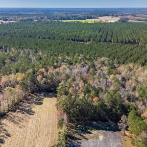 Photo #11 of Off 2870 Wilmington Hwy, Willard, NC 7.0 acres