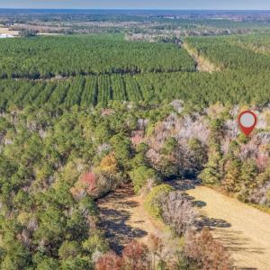 Photo #12 of Off 2870 Wilmington Hwy, Willard, NC 7.0 acres