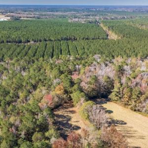Photo #13 of Off 2870 Wilmington Hwy, Willard, NC 7.0 acres