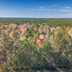 Photo #18 of Off 2870 Wilmington Hwy, Willard, NC 7.0 acres