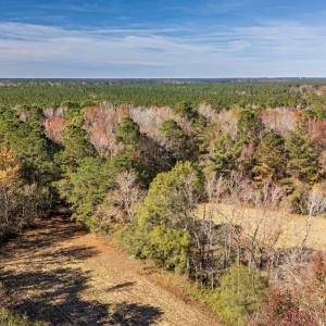 Photo #20 of Off 2870 Wilmington Hwy, Willard, NC 7.0 acres
