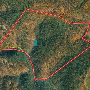 Photo #1 of Off  Bull Mountain Road, Patrick , VA 88.0 acres
