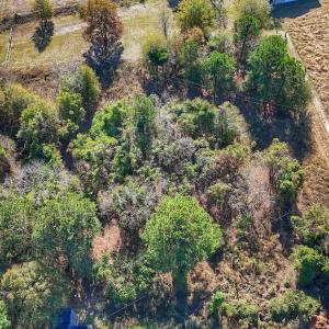 Photo #13 of SOLD property in Off County Line Rd, La Grange, NC 1.3 acres