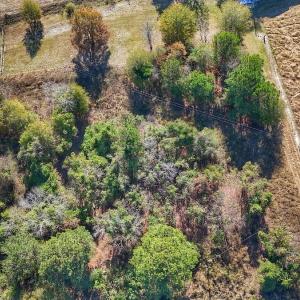 Photo #14 of SOLD property in Off County Line Rd, La Grange, NC 1.3 acres