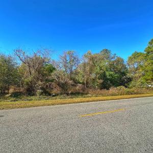 Photo #27 of SOLD property in Off County Line Rd, La Grange, NC 1.3 acres