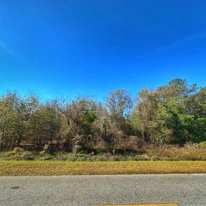 Photo #28 of SOLD property in Off County Line Rd, La Grange, NC 1.3 acres