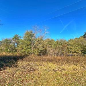 Photo #29 of SOLD property in Off County Line Rd, La Grange, NC 1.3 acres
