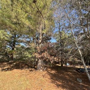 Photo #31 of SOLD property in Off County Line Rd, La Grange, NC 1.3 acres