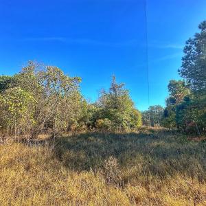 Photo #33 of SOLD property in Off County Line Rd, La Grange, NC 1.3 acres