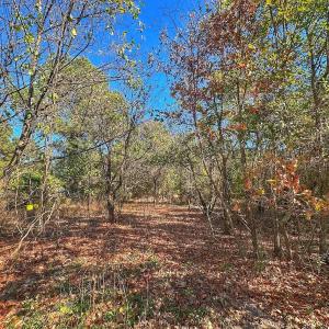 Photo #34 of SOLD property in Off County Line Rd, La Grange, NC 1.3 acres