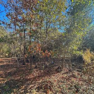 Photo #35 of SOLD property in Off County Line Rd, La Grange, NC 1.3 acres
