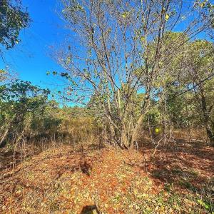 Photo #36 of SOLD property in Off County Line Rd, La Grange, NC 1.3 acres