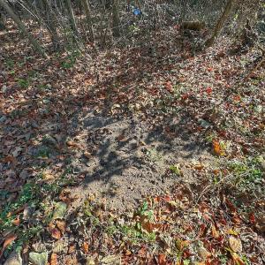 Photo #37 of SOLD property in Off County Line Rd, La Grange, NC 1.3 acres
